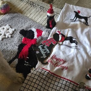 Festive Dog Holiday Decor Set - Black and Red